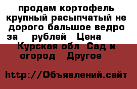 продам кортофель крупный расыпчатый не дорого бальшое ведро за 80 рублей › Цена ­ 80 - Курская обл. Сад и огород » Другое   